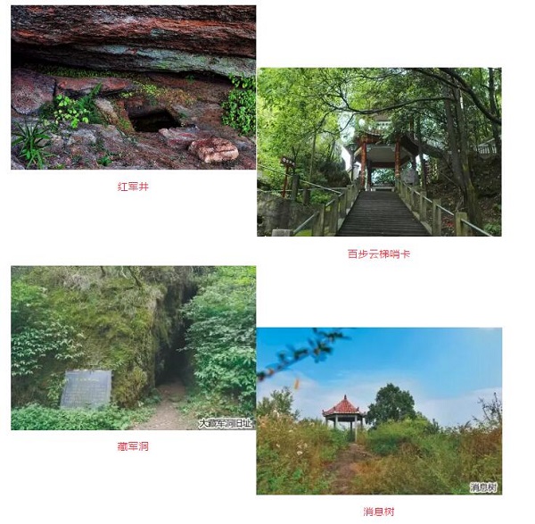 平江县星火燎原红色文化教育培训学校有限公司,平江党建,研学,红色精神