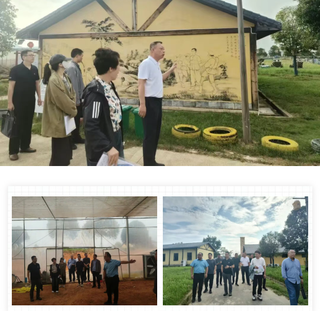 党建,研学,红色精神